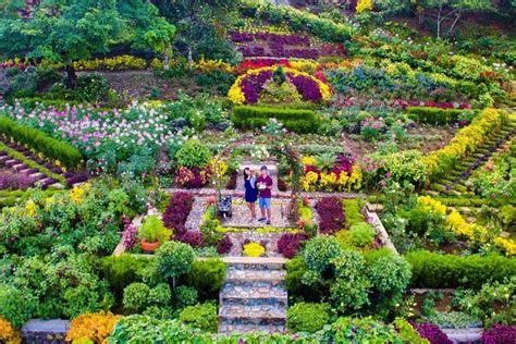 Private Cebu Twin City Tour With Temple Of Leah And Sirao Flower Farm
