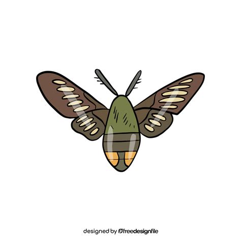 Moth Cartoon Clipart Free Download