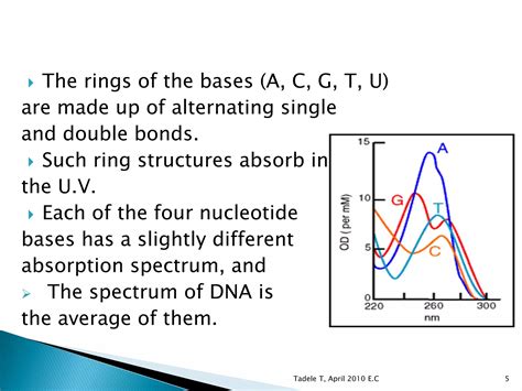 Dna Quantification Ppt