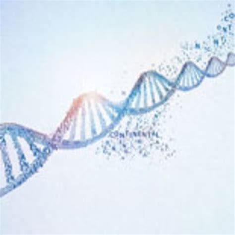 R. ROTONDI | Continental AG, Hannover | Research profile
