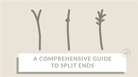 A Comprehensive Guide To Split Ends Types Causes And Treatments