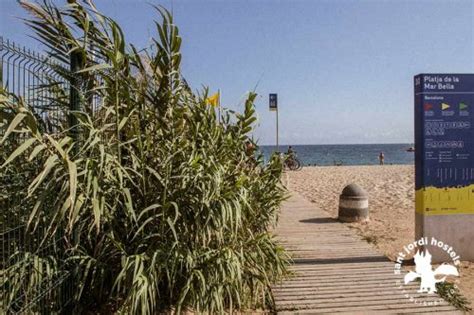 Barcelona Nude Beaches Sant Jordi Hostels