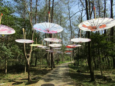 科学网—林间伞廊 - 朱晓刚的博文