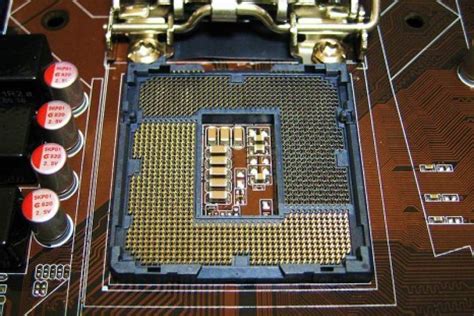 LGA 775 continúa dominando en Intel
