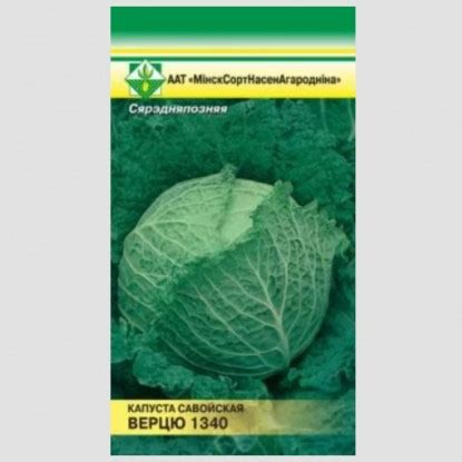 Семена овощей купить в Минске, выписать почтой по Беларуси