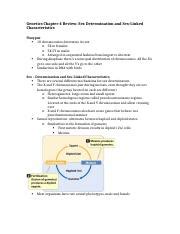 Genetics Chapter Review Genetics Chapter Review Sex