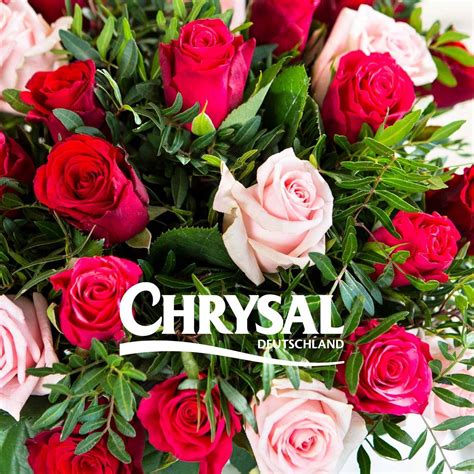 Chrysal Deutschland | Lemgo
