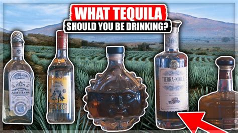 A Guide🧭to The Different Types Of Tequila What Tequila Should You Be