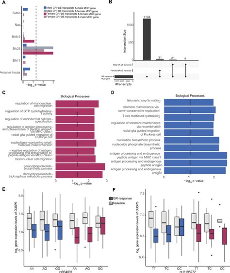 Sex Differences In The Genetic Regulation Of The Blood Transcriptome Response To Glucocorticoid
