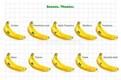 Banana Chart Ripe Stock Illustrations 38 Banana Chart Ripe Stock