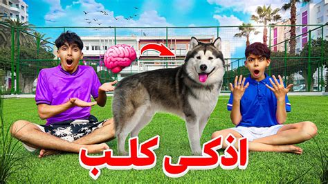 و أخيرا يوم كامل مع أخطر كلب فالعالم 🐶🐕 كان غادي ياكل دراري 💔😭 Youtube