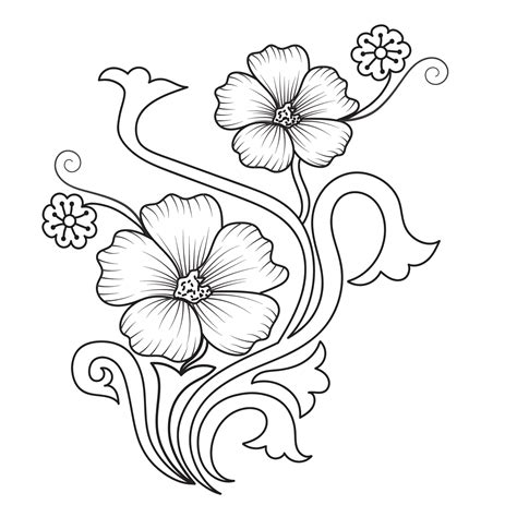 Set of differents flower line on white background. Flowers drawing with