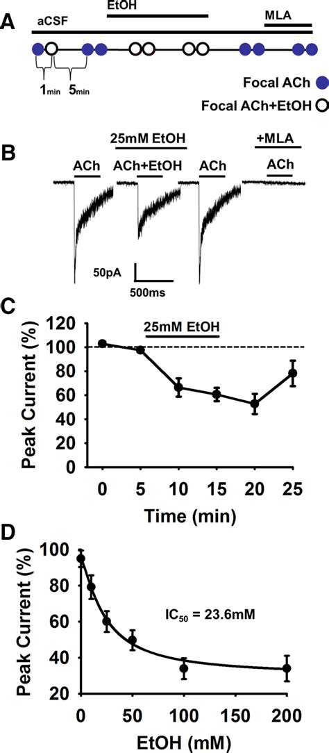 Etoh Dose Dependently Inhibits Nachrs In Ldtg Neurons A Diagram Of