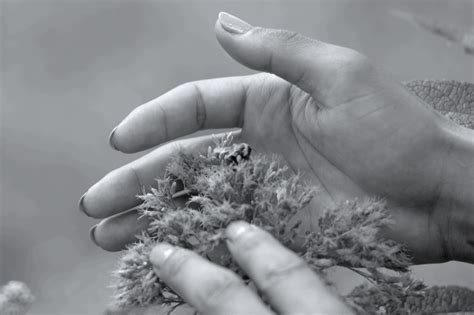 Festivals & Events in Luxembourg - Visit Luxembourg