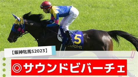 【阪神牝馬ステークス2023】自信の本命！過去データ、追い切りなどを総合した最終結論！ アギョウトレセン