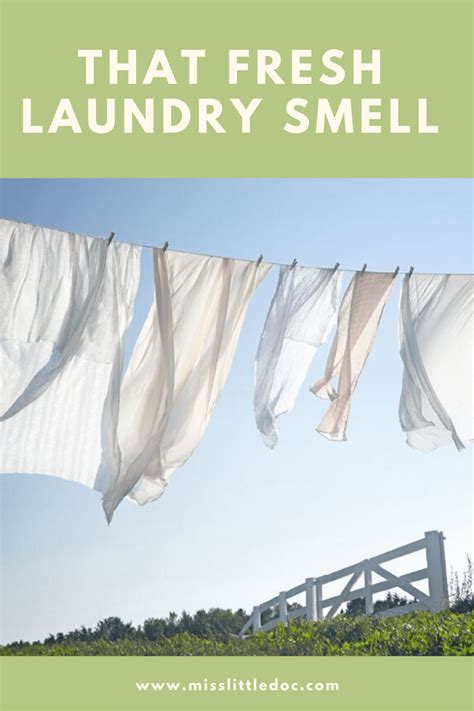 That Fresh Laundry Smell ⋆