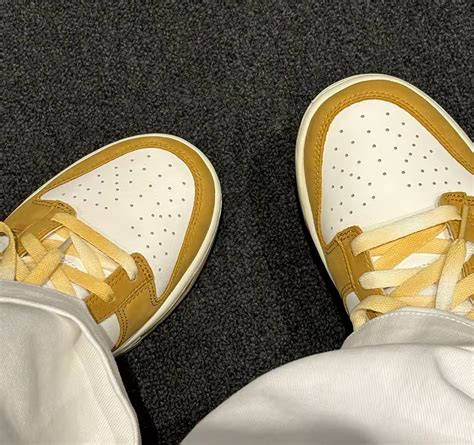 Giày Nike Dunk Low Retro Orange Wheat Hm3729 181 Authentic Shoes