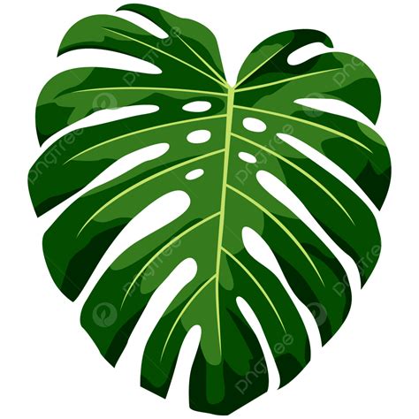 tropical leaf png