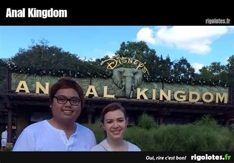 Anal Kingdom Blagues Et Les Meilleures Images Dr Les