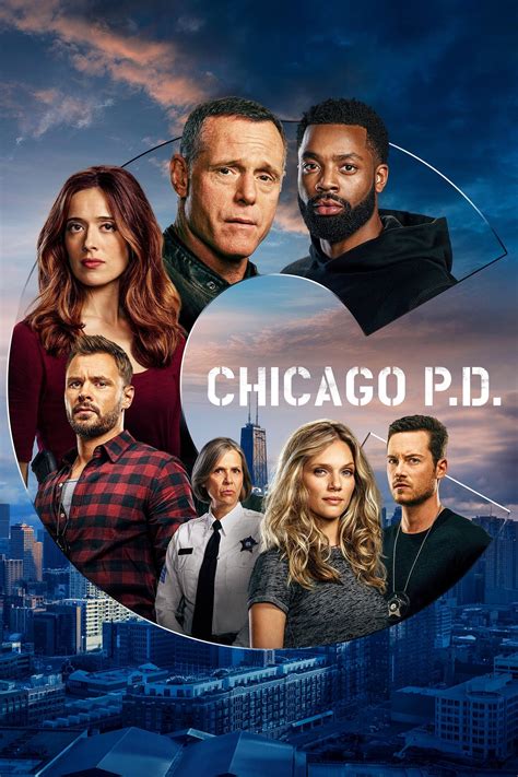 cast of pd chicago 14