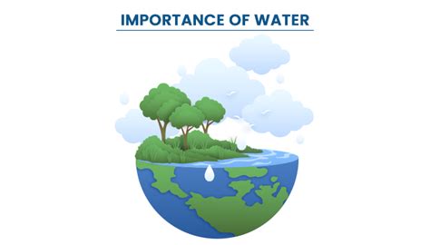 Importance Of Water List Of Important Uses Of Water Pw