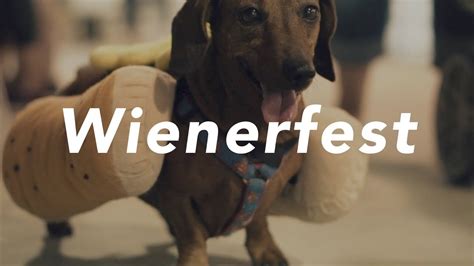 Wienerfest Tampa 2017 Wiener Dog Derby Canine Costume Contest And