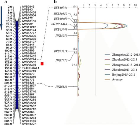 The linkage map of chromosome 6A and QTL mapping for TGW. a Linkage map ...