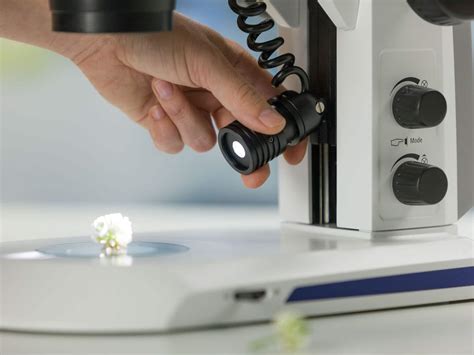 Купить стереомикроскоп Zeiss Stemi 305 в Москве | «Dmicro»