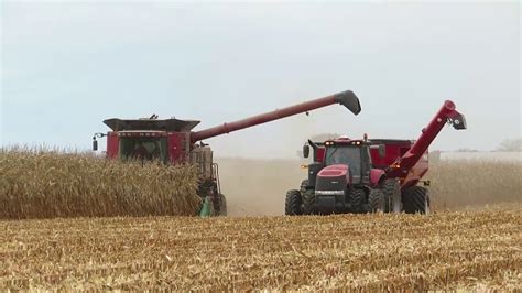 Harvest Case Ih Combine Harvesting Corn Corn Harvest