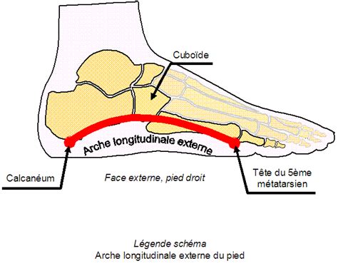 Pathologies > Pathologies du pied > Affaissement de la voûte plantaire