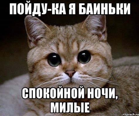 Поздравление С Днем Рождения Чтоб Хуй Стоял — Pozdravlyamba.ru