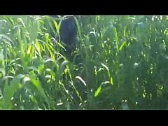 Tamil Aunty Showed Her Pussy In The Jungle Full Xxx Video Viral Mms Xxx Mobile Porno Videos