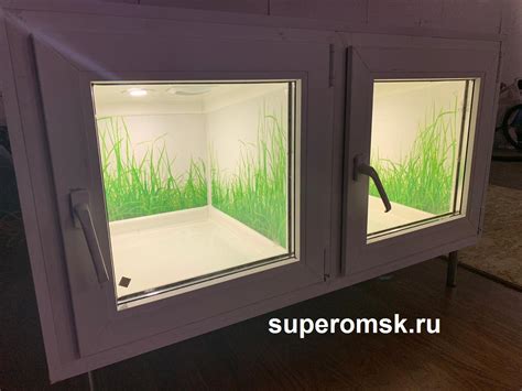 Омский приют для животных построил уникальные боксы для спасения кошек ...