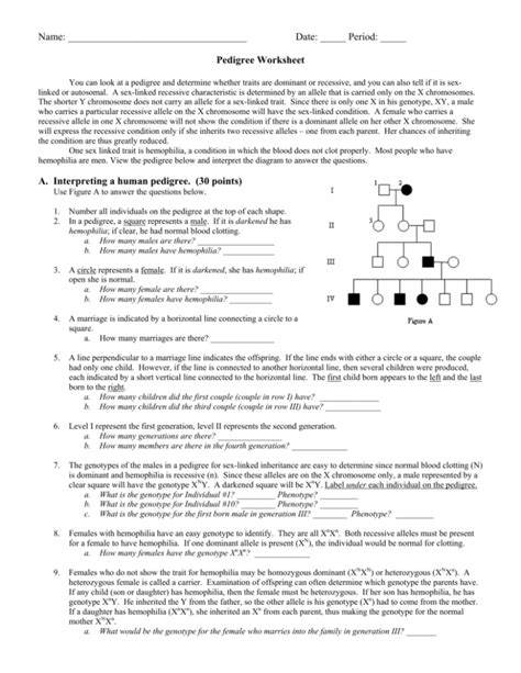 Pedigree Worksheet Hemophilia Sex Linked Inheritance