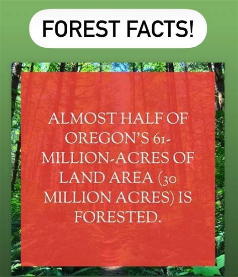 If You Want To See Trees We Have A Few Here And There Worth Seeing If