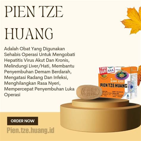 Jual Distributor Resmi Zhang Zhou Pien Tze Huang Original 1 Kotak Free