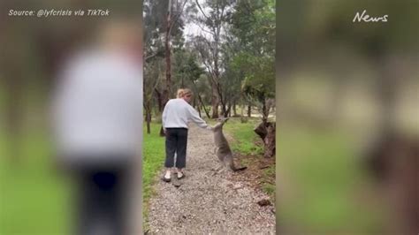 Crazy Moment Tradie Almost Eaten By Crocodile In The Northern Territory