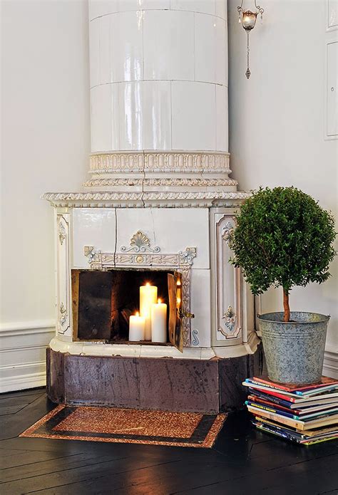 My Scandimania: Растения / МИРТ (Myrtus Communis)