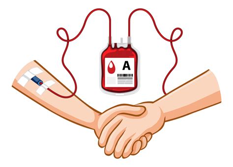 Why Blood Donation Matters: Benefits and Importance