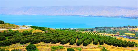 Holy Land Tours Fun For Less Tours