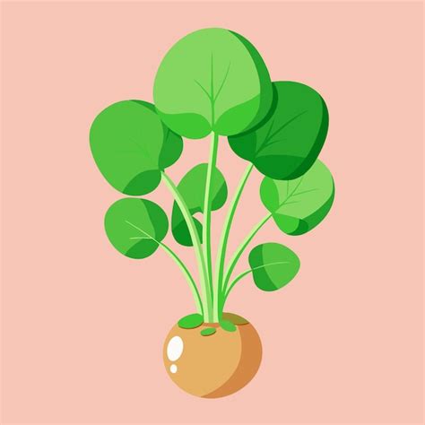 Watercress Vegetable Color Clip Art Vector Illustration Design