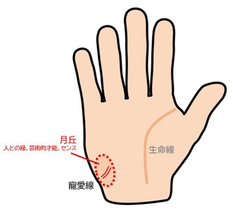 手相で恋愛運がわかるって本当？ 恋愛傾向や大恋愛の時期の見方を占い師が教えます Oggi Jp