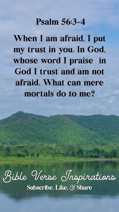 When I Am Afraid I Put My Trust In You In God Whose Word I Praise