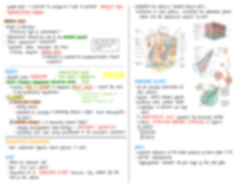Solution Integumentary System Histology Studypool