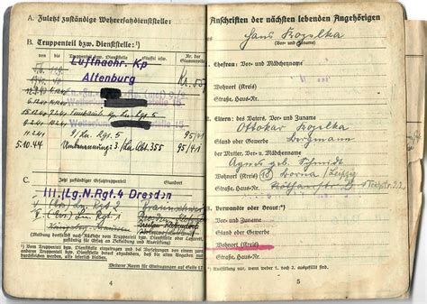 Original German Wwii Luftwaffe Large Identification And Document Group