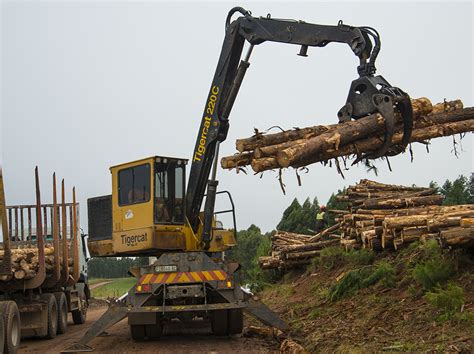 Pg Bison Forestry Operations Between The Branches Tigercat