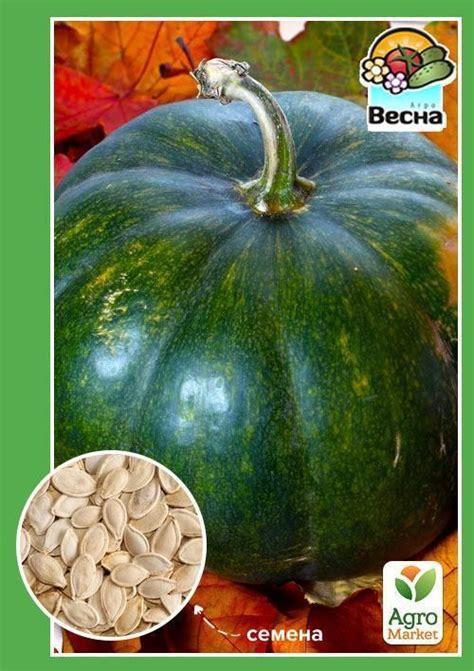 Тыква "Зимняя сладкая" ТМ "Весна" 2г купить почтой в Одессе, Киеве ...