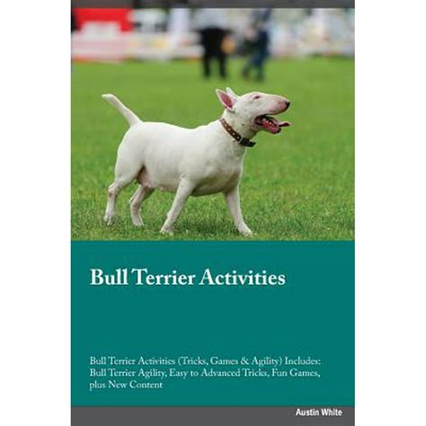 Bull Terrier Activities Bull Terrier Activities (Tricks, Games ...