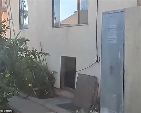 Cops Arrest NAKED Man Living In The Crawl Space Of Year Old Woman Daily Mail Online