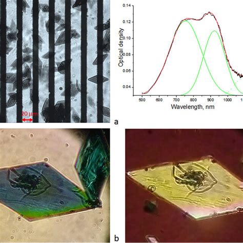 A Optical Micrograph Of The Polycrystalline Film Deposited Onto The